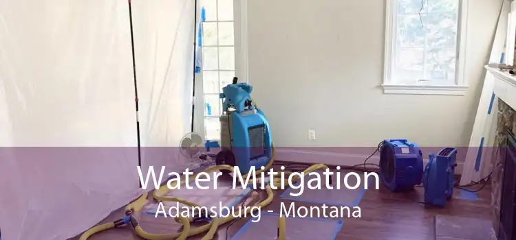 Water Mitigation Adamsburg - Montana