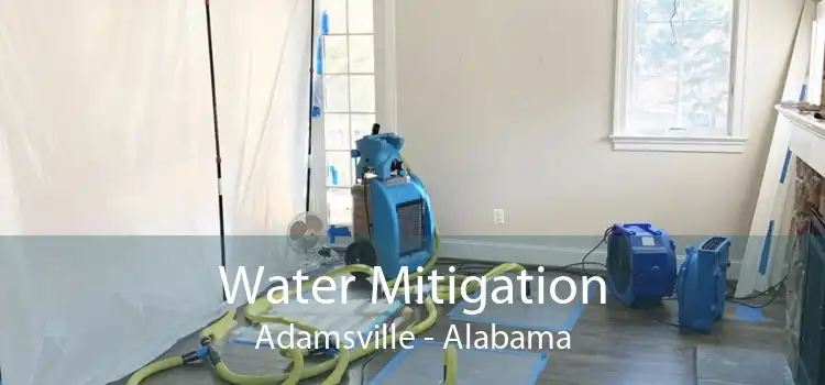Water Mitigation Adamsville - Alabama