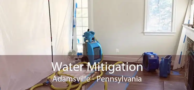 Water Mitigation Adamsville - Pennsylvania
