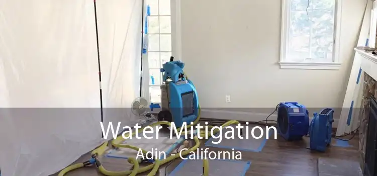 Water Mitigation Adin - California