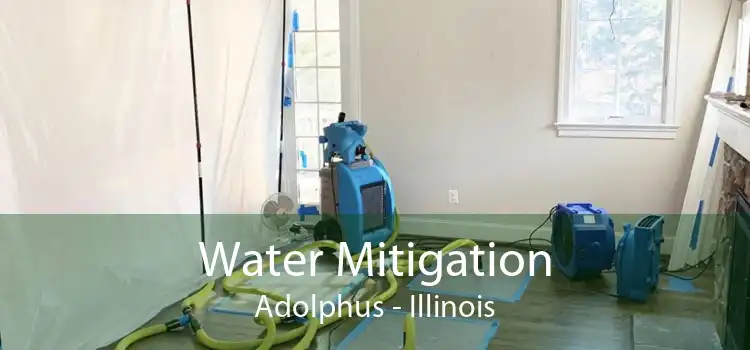 Water Mitigation Adolphus - Illinois
