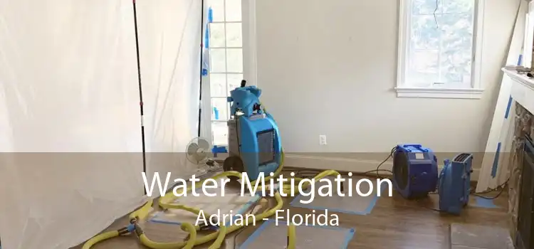 Water Mitigation Adrian - Florida