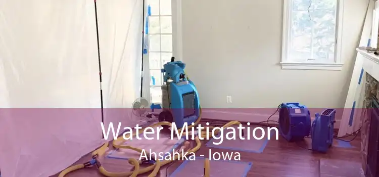 Water Mitigation Ahsahka - Iowa