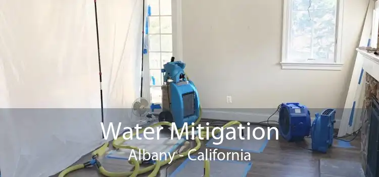Water Mitigation Albany - California