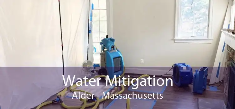 Water Mitigation Alder - Massachusetts