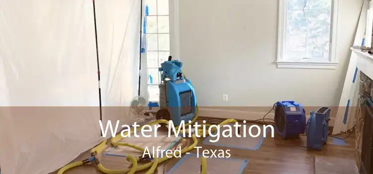 Water Mitigation Alfred - Texas