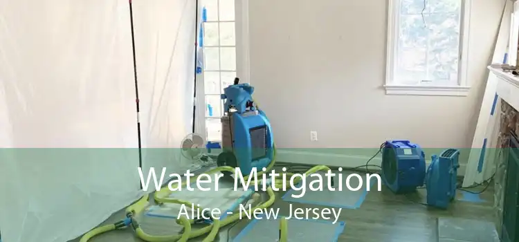 Water Mitigation Alice - New Jersey