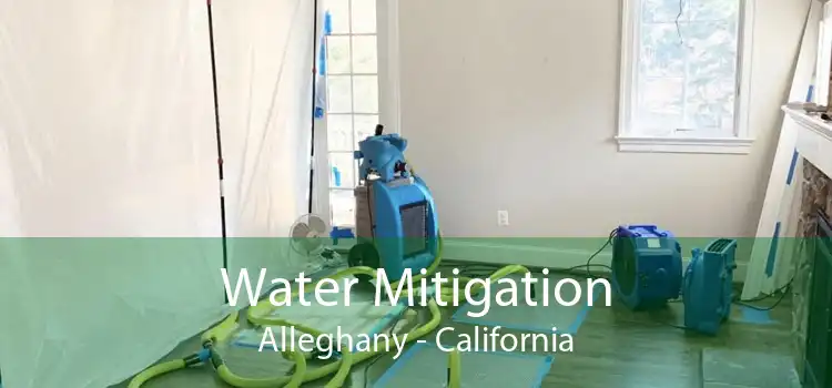 Water Mitigation Alleghany - California