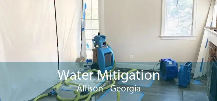Water Mitigation Allison - Georgia