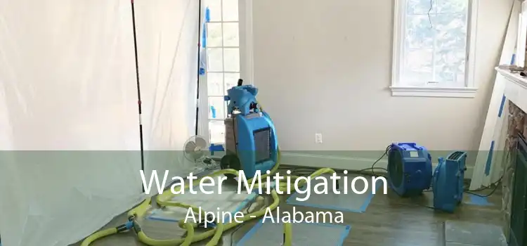 Water Mitigation Alpine - Alabama