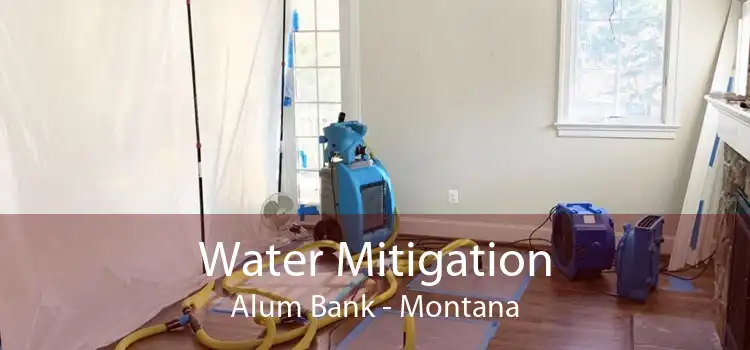 Water Mitigation Alum Bank - Montana
