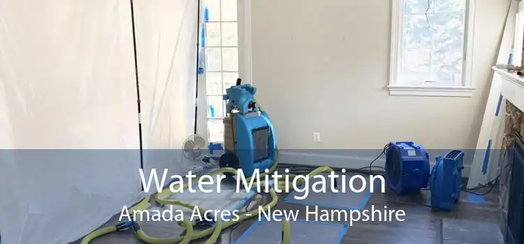 Water Mitigation Amada Acres - New Hampshire