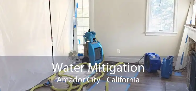 Water Mitigation Amador City - California