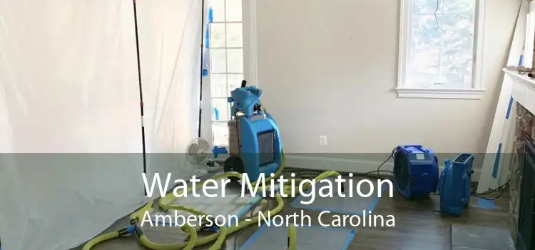 Water Mitigation Amberson - North Carolina