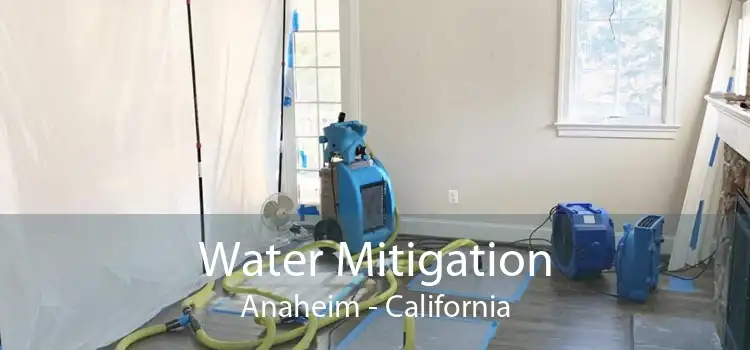 Water Mitigation Anaheim - California