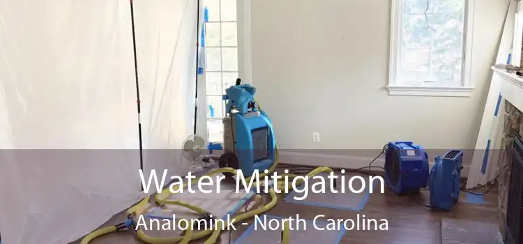 Water Mitigation Analomink - North Carolina