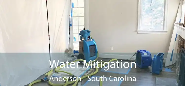 Water Mitigation Anderson - South Carolina