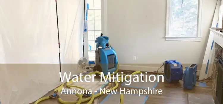 Water Mitigation Annona - New Hampshire