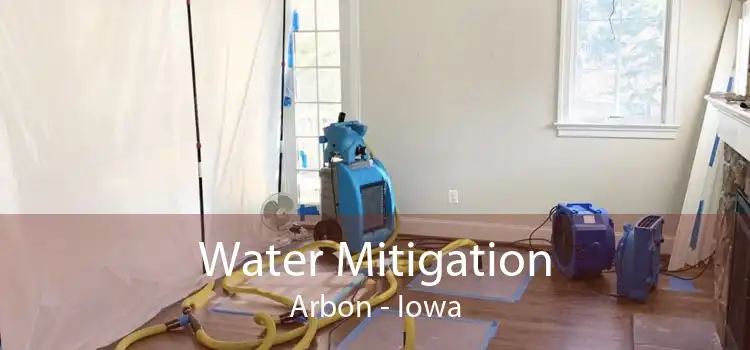 Water Mitigation Arbon - Iowa