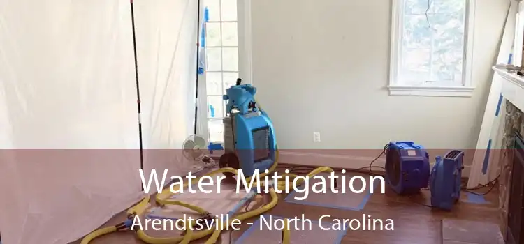 Water Mitigation Arendtsville - North Carolina