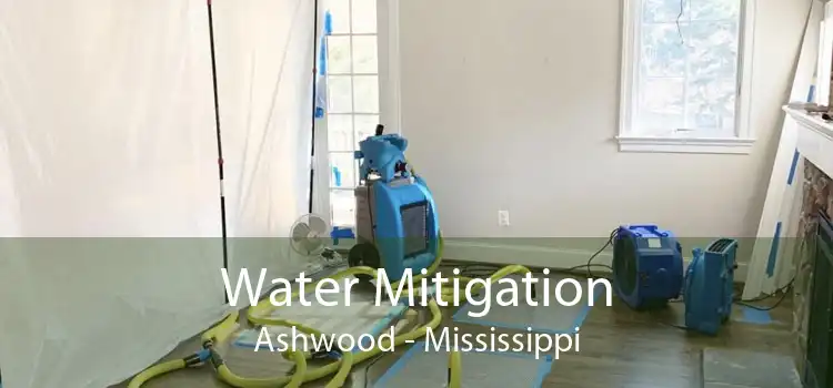 Water Mitigation Ashwood - Mississippi