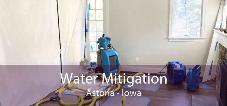 Water Mitigation Astoria - Iowa