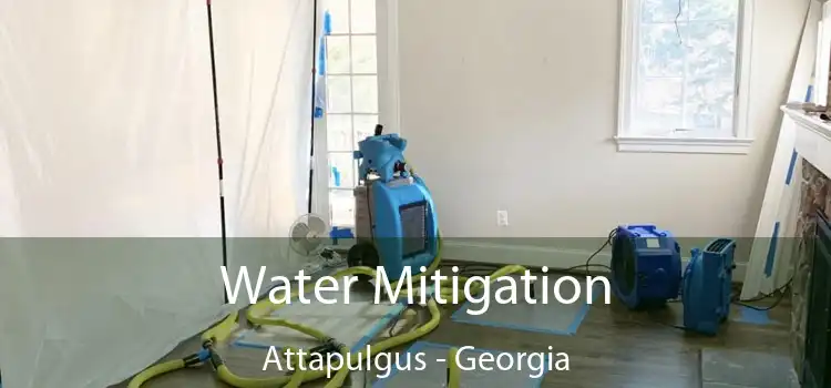 Water Mitigation Attapulgus - Georgia