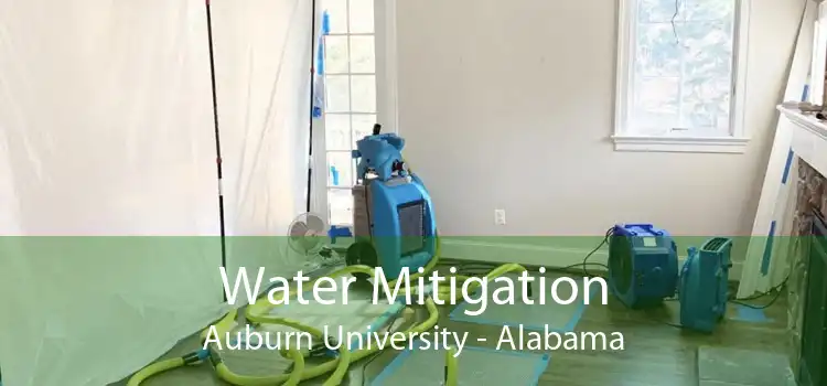 Water Mitigation Auburn University - Alabama