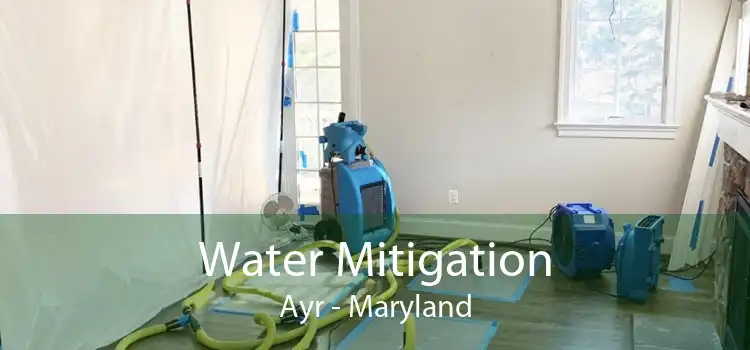 Water Mitigation Ayr - Maryland