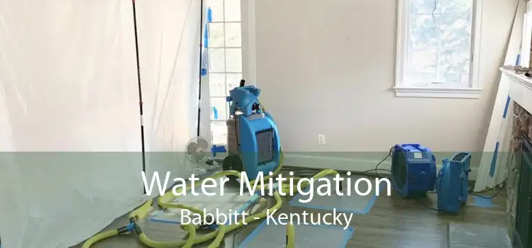 Water Mitigation Babbitt - Kentucky