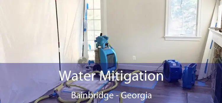 Water Mitigation Bainbridge - Georgia