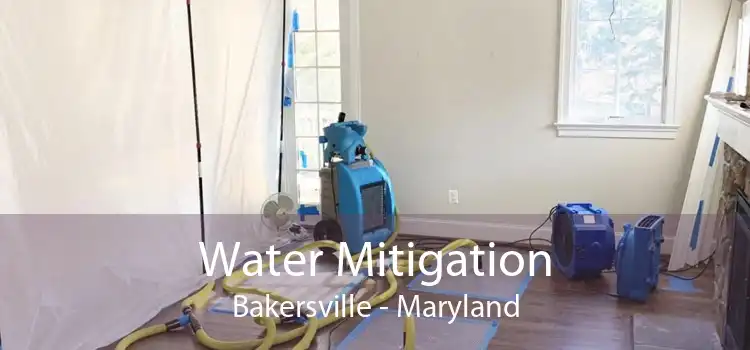 Water Mitigation Bakersville - Maryland