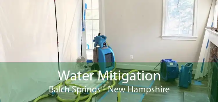Water Mitigation Balch Springs - New Hampshire