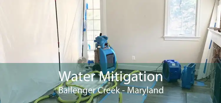 Water Mitigation Ballenger Creek - Maryland