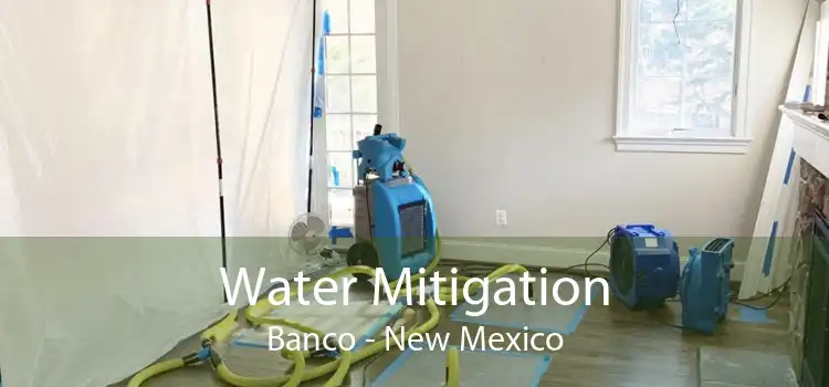 Water Mitigation Banco - New Mexico