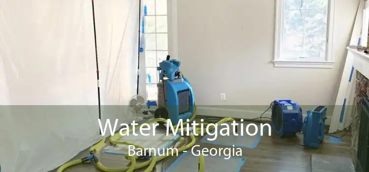 Water Mitigation Barnum - Georgia