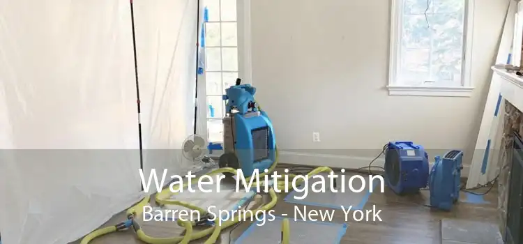 Water Mitigation Barren Springs - New York