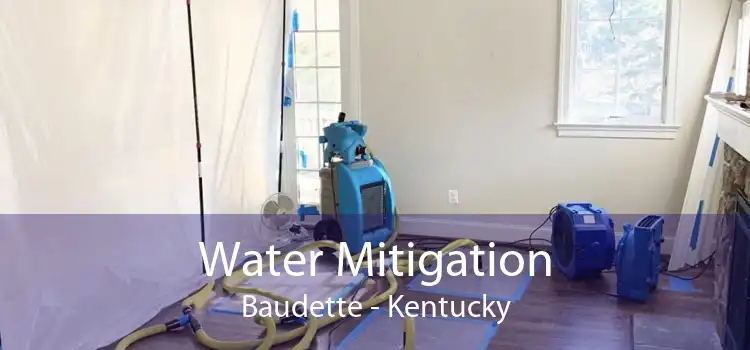 Water Mitigation Baudette - Kentucky
