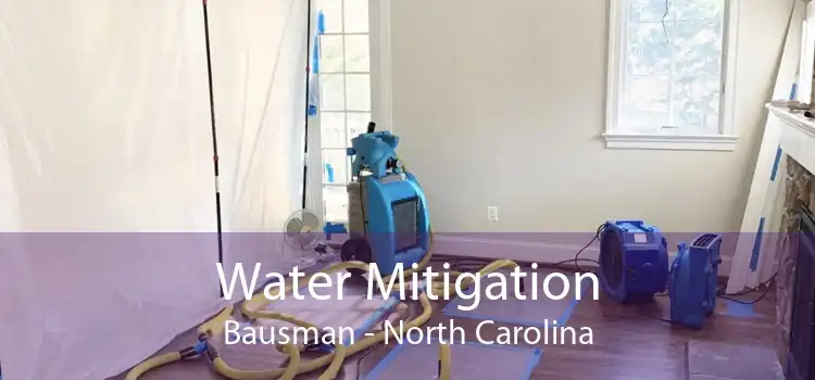 Water Mitigation Bausman - North Carolina