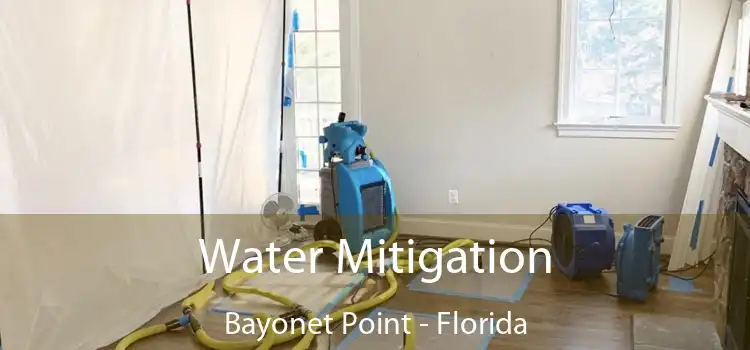 Water Mitigation Bayonet Point - Florida