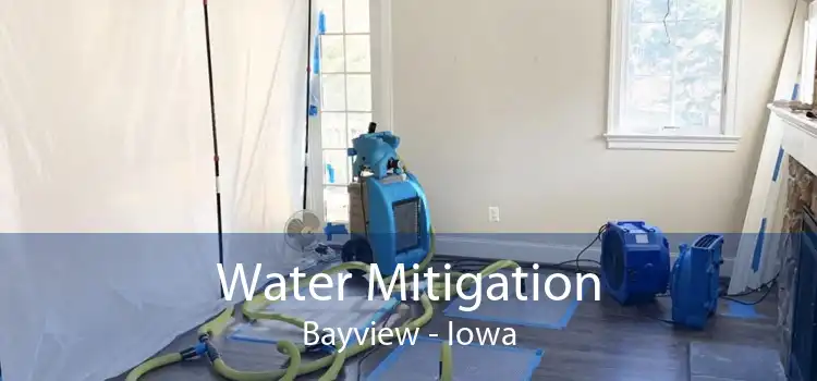 Water Mitigation Bayview - Iowa