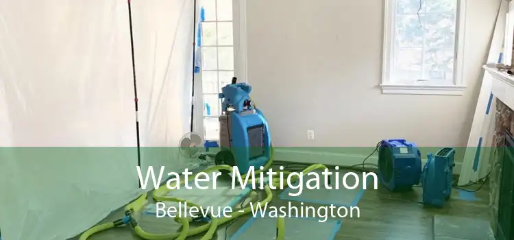Water Mitigation Bellevue - Washington