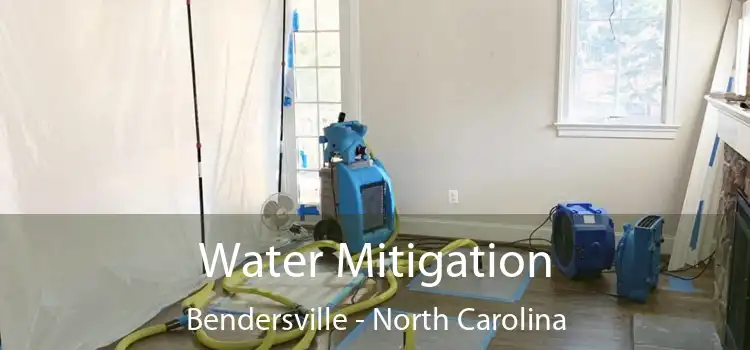 Water Mitigation Bendersville - North Carolina