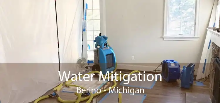 Water Mitigation Berino - Michigan
