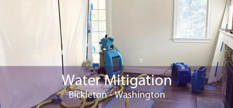 Water Mitigation Bickleton - Washington