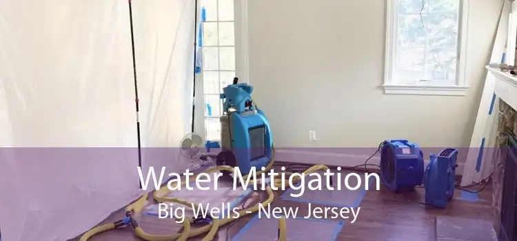 Water Mitigation Big Wells - New Jersey