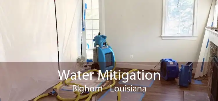 Water Mitigation Bighorn - Louisiana