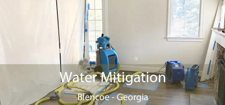 Water Mitigation Blencoe - Georgia