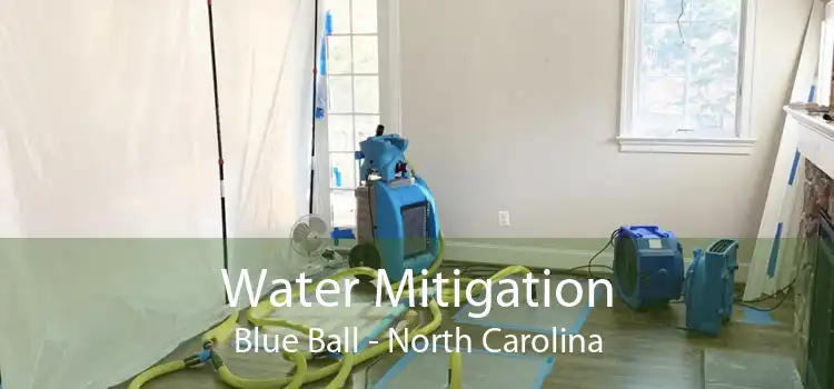 Water Mitigation Blue Ball - North Carolina