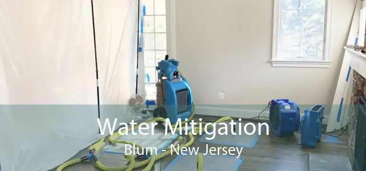 Water Mitigation Blum - New Jersey